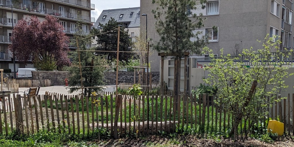 Un treillis pour les&nbsp;kiwis