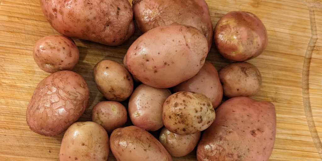 Des pommes de terre façon Ruth&nbsp;Stout