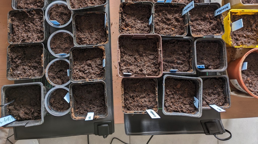 3 Clés pour réussir vos&nbsp;semis